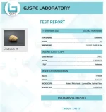 17 Mukhi lab Certificate