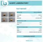 17 Mukhi Certificate