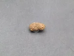 17 Mukhi Rudraksha