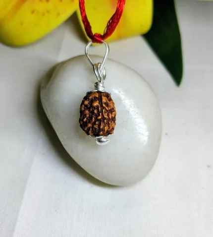 3 Mukhi Rudraksha
