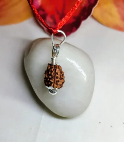 3 Mukhi Rudraksha
