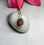 3 Mukhi Rudraksha