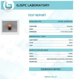 3 Mukhi lab Certificate