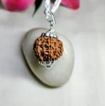 7 Mukhi Rudraksha