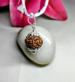 7 Mukhi Rudraksha