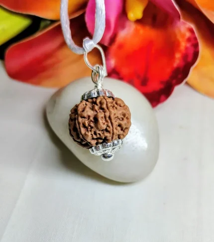 7 Mukhi Rudraksha