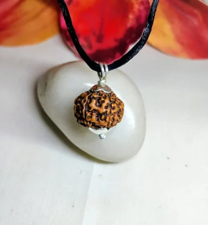 8 Mukhi Rudraksha