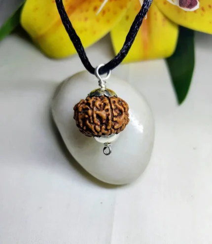 8 Mukhi Rudraksha