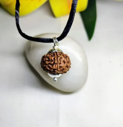 8 Mukhi Rudraksha