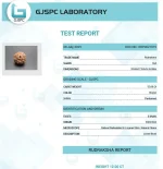 8 Mukhi lab Certificate