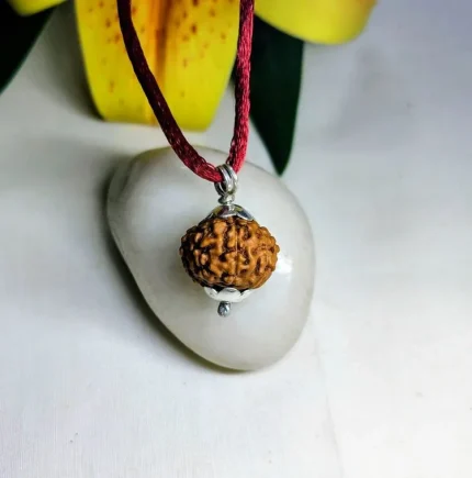 9 Mukhi Rudraksha