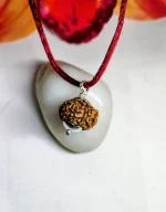 9 Mukhi Rudraksha