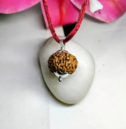 9 Mukhi Rudraksha
