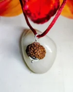 9 Mukhi Rudraksha