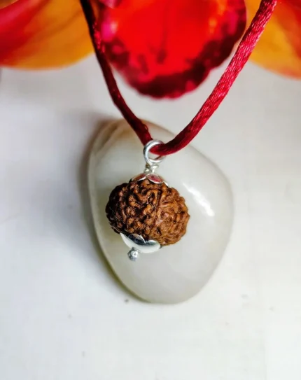 9 Mukhi Rudraksha