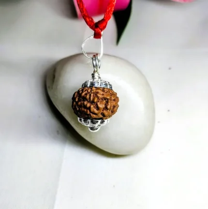 9 Mukhi Rudraksha