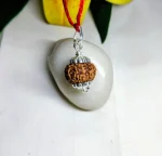 9 Mukhi Rudraksha