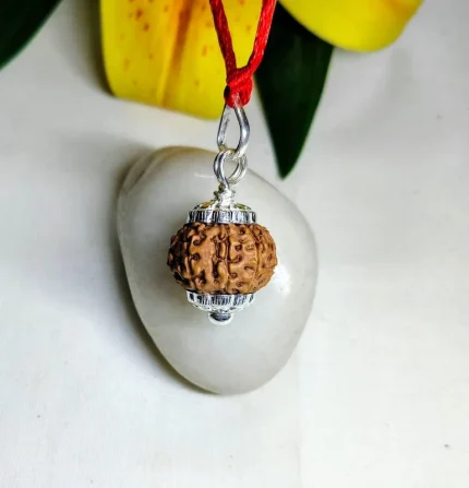 9 Mukhi Rudraksha