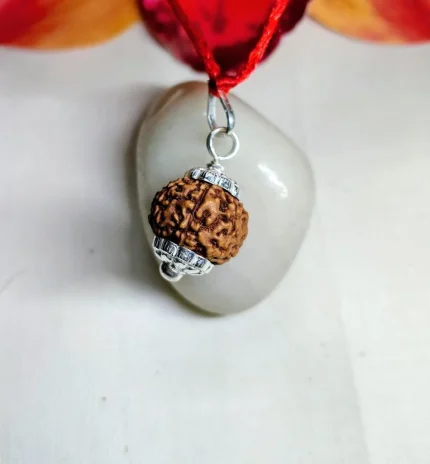 9 Mukhi Rudraksha