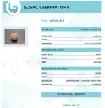 9 Mukhi lab Certificate