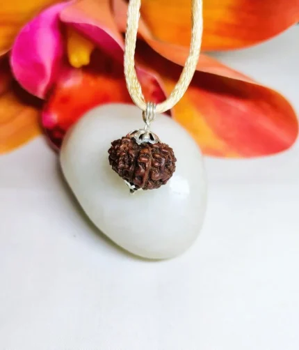 12 Mukhi Rudraksha