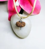 12 Mukhi Rudraksha