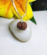 12 Mukhi Rudraksha