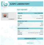 12 Mukhi Certificate