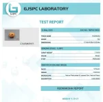 12 Mukhi Certificate