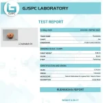 12 Mukhi Certificate