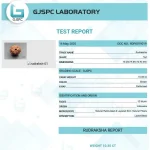 12 Mukhi Certificate