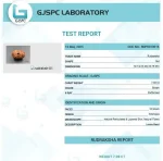 12 Mukhi Certificate