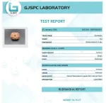 12 Mukhi Certificate