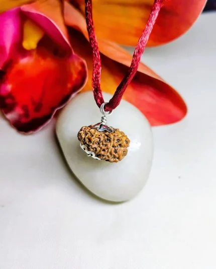 14 Mukhi Rudraksha