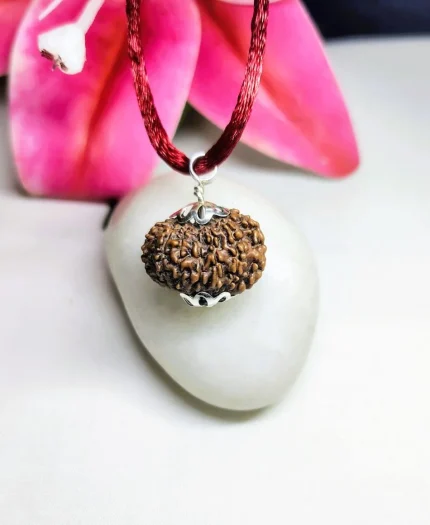 14 Mukhi Rudraksha