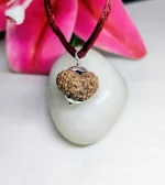 14 Mukhi Rudraksha