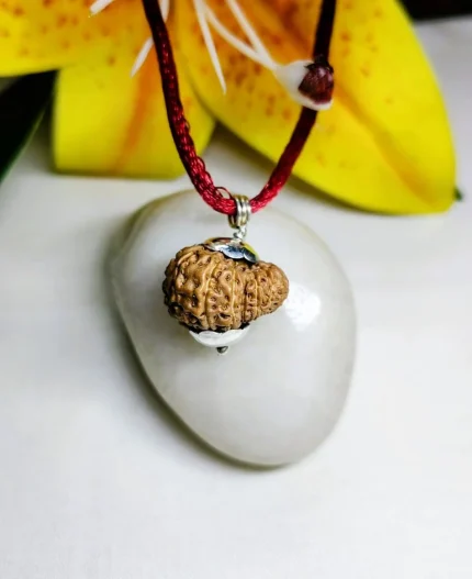 14 Mukhi Rudraksha