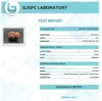 14 Mukhi lab Certificate