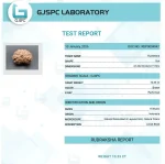 14 Mukhi lab Certificate