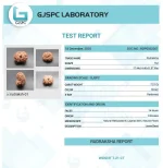 14 Mukhi lab Certificate