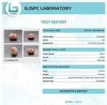 14 Mukhi Certificate