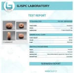 14 Mukhi Certificate