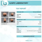 14 Mukhi Certificate