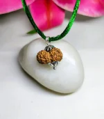 15 Mukhi Rudraksha