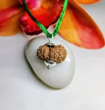 15 Mukhi Rudraksha