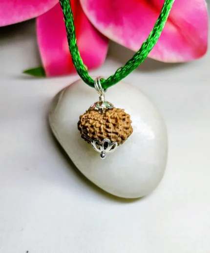 15 Mukhi Rudraksha