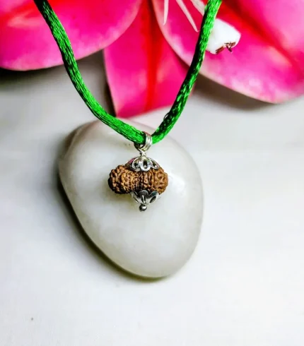 15 Mukhi Rudraksha