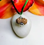 15 Mukhi Rudraksha