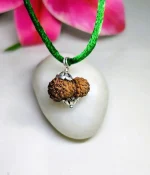 15 Mukhi Rudraksha