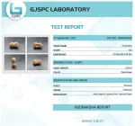 15 Mukhi Certificate